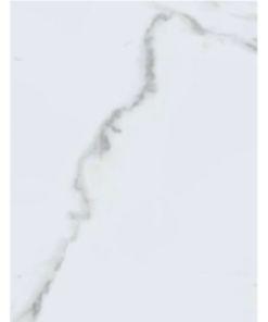 LOURDES CARRARA  31 X 53